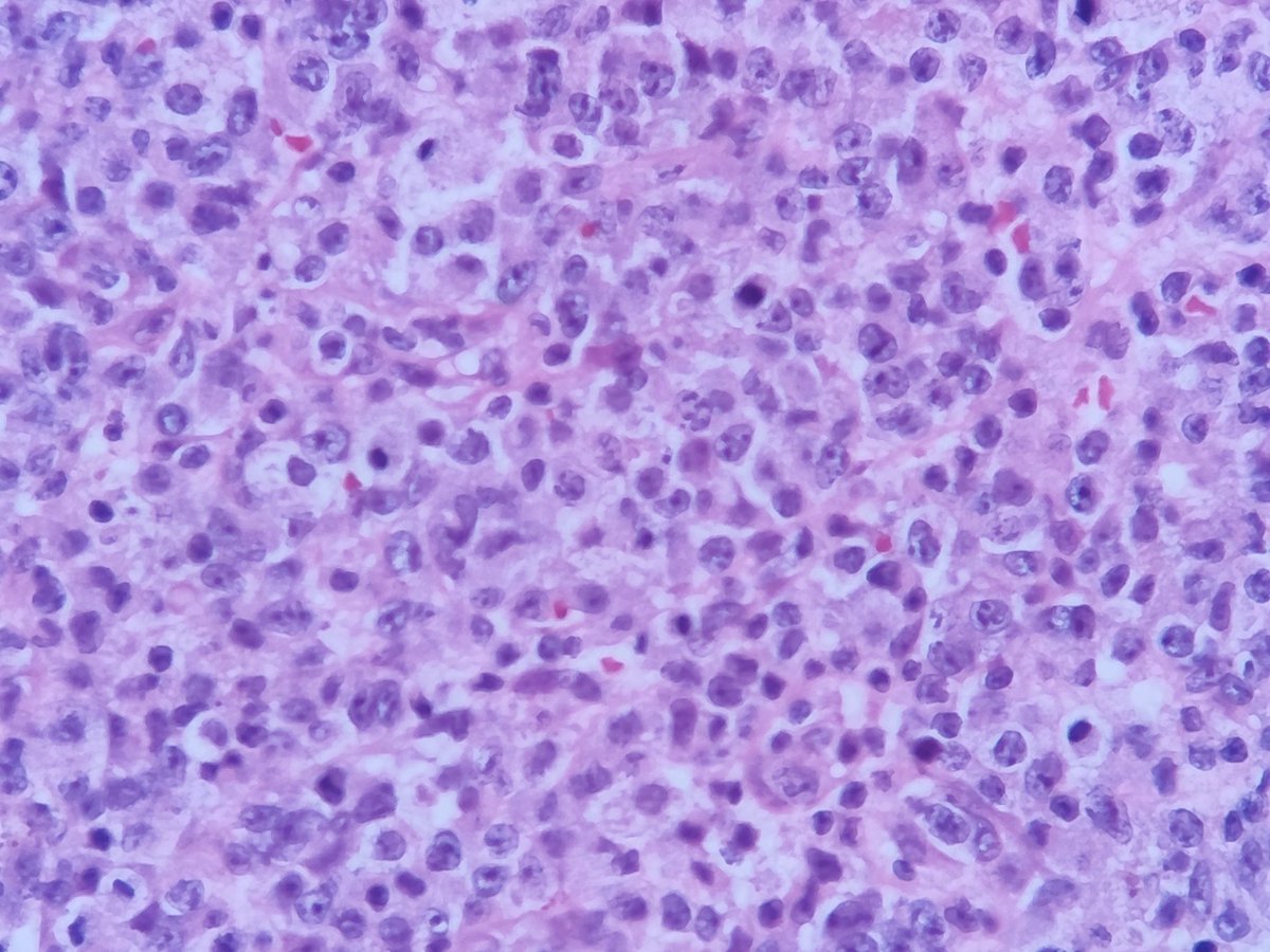 T.JeffLimMD tweet media