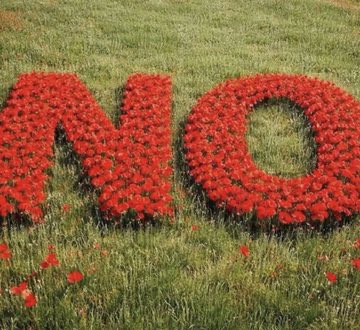tico_palabra's tweet photo. Insomma domani ci tocca andare al seggio a salvare la Costituzione. 
Vedi che succede a far arrivare al potere i fascisti e i loro - sempre complici - liberali? 

#Resistenza #NO https://t.co/mBb29vHFOE