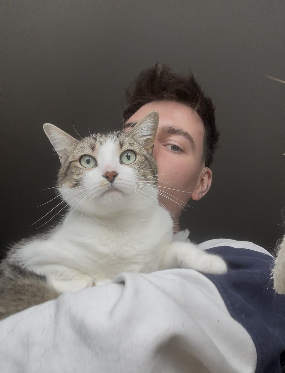 ᶠᵃᵍᵍᵒᵗ ☽ tweet media