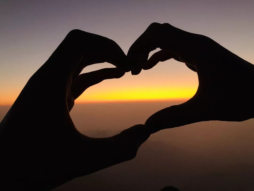 loes werts tweet media