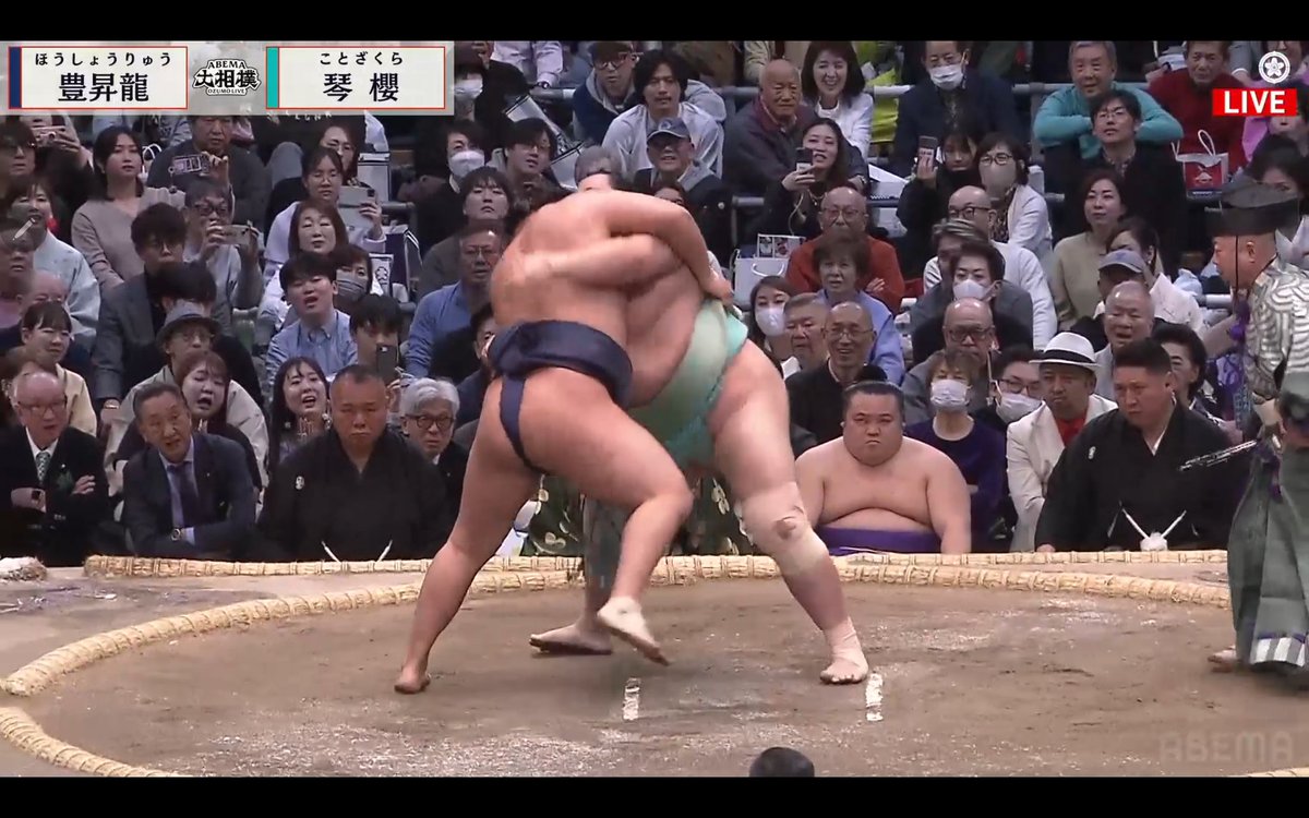 SumoCat tweet media
