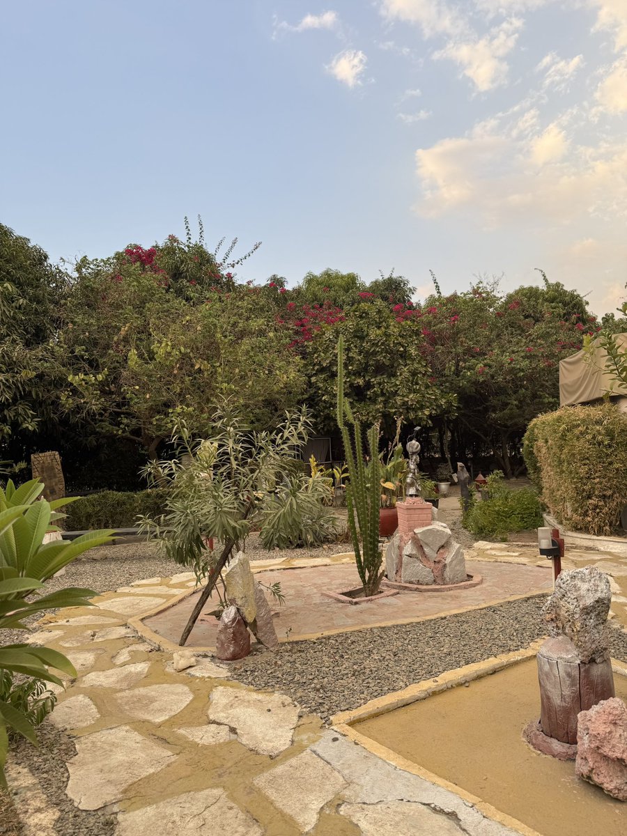 Chukwudumebi tweet media