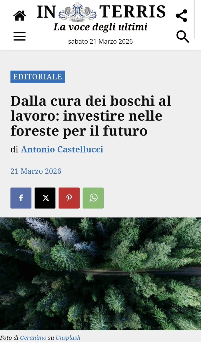 Fai-Cisl Nazionale tweet media
