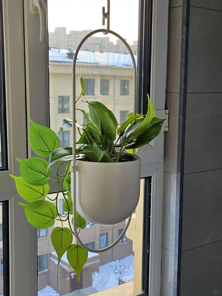 alaine ciara tamayo tweet media