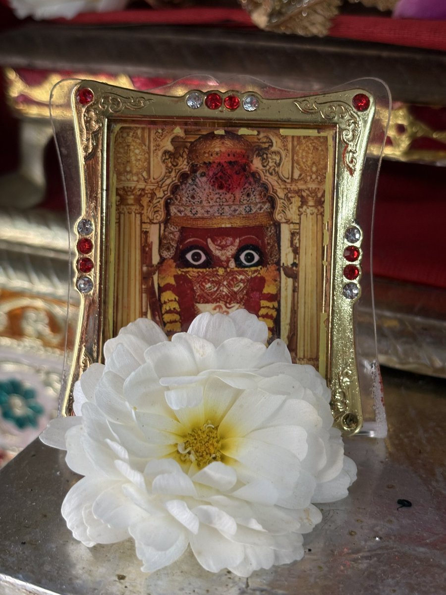 वन्दे वांछित लाभाय चन्द्रार्धकृत शेखरम्।
सिंहारूढा चंद्रघंटा यशस्वनीम्॥