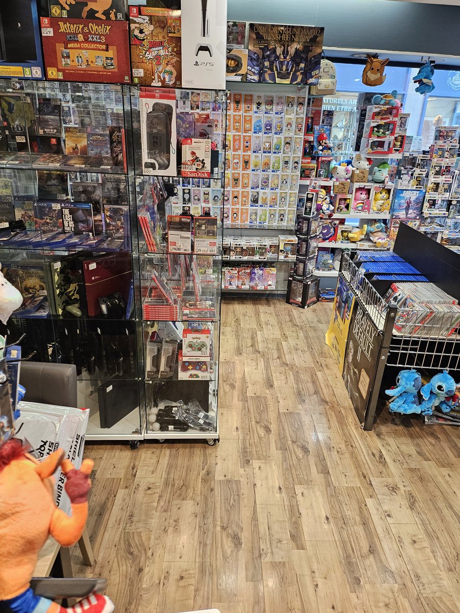 Noëlie 🦖 tweet media