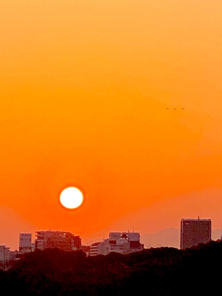 ᑦᑋ੨иPONY★姫☆ tweet media