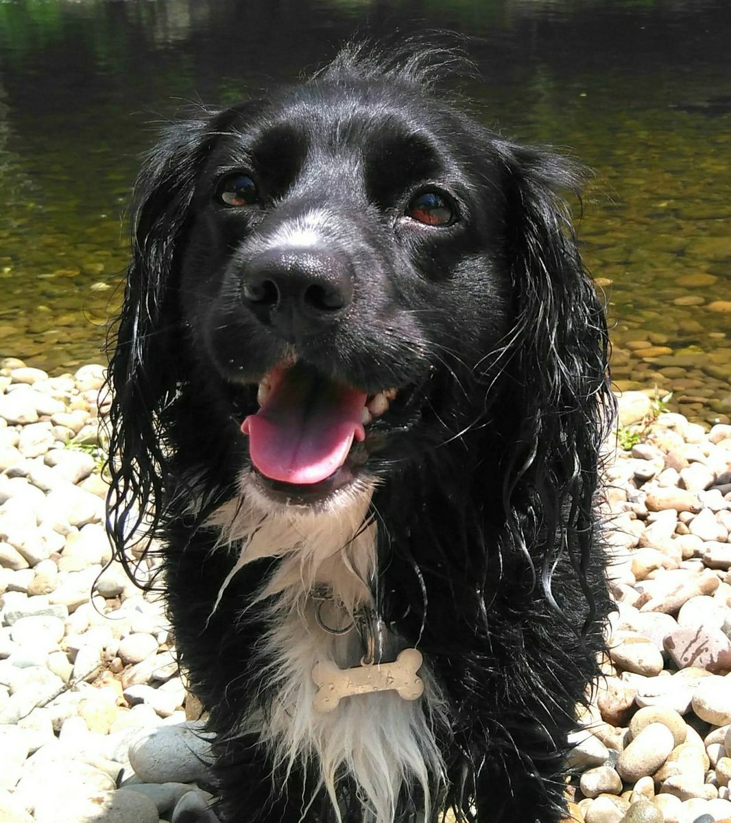 Reis de las Coscorinas 💢 tweet media