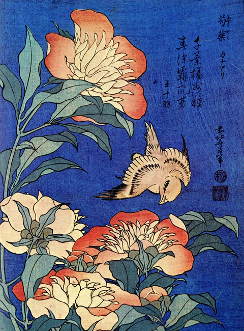 bubisanatcom's tweet photo. Katsushika Hokusai çiçekleri: https://t.co/3LSNZCYuzE