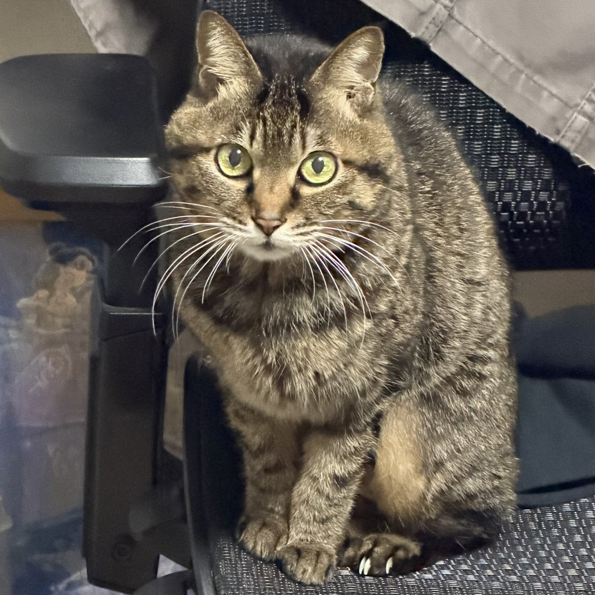 𝕓𝕠𝕝𝕕 𝕓𝕠𝕕𝕪 tweet media