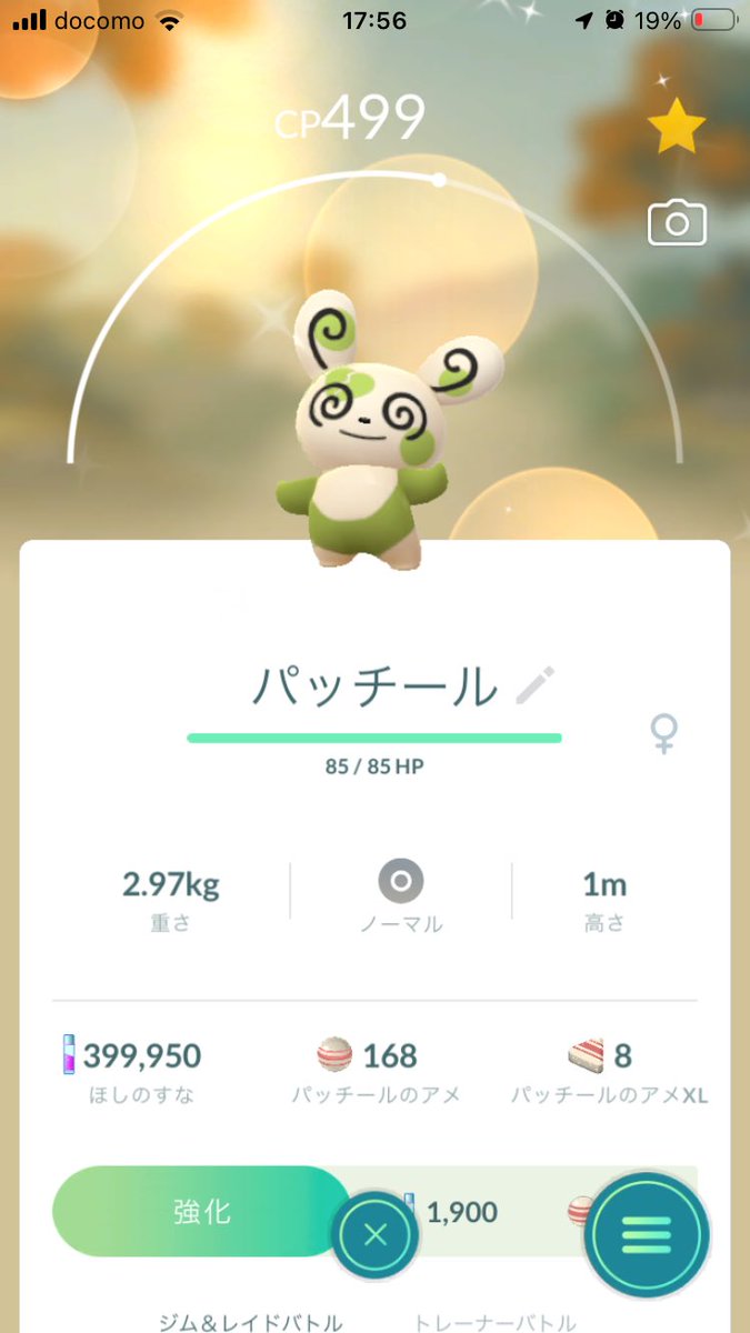 MSplatBrella's tweet photo. バレンタインデーのとき？
にとったパッチール色違い、
目のところのハートが割れてた。

通常色は割れてない。

縁起悪いね？ https://t.co/wjvFo7N9im