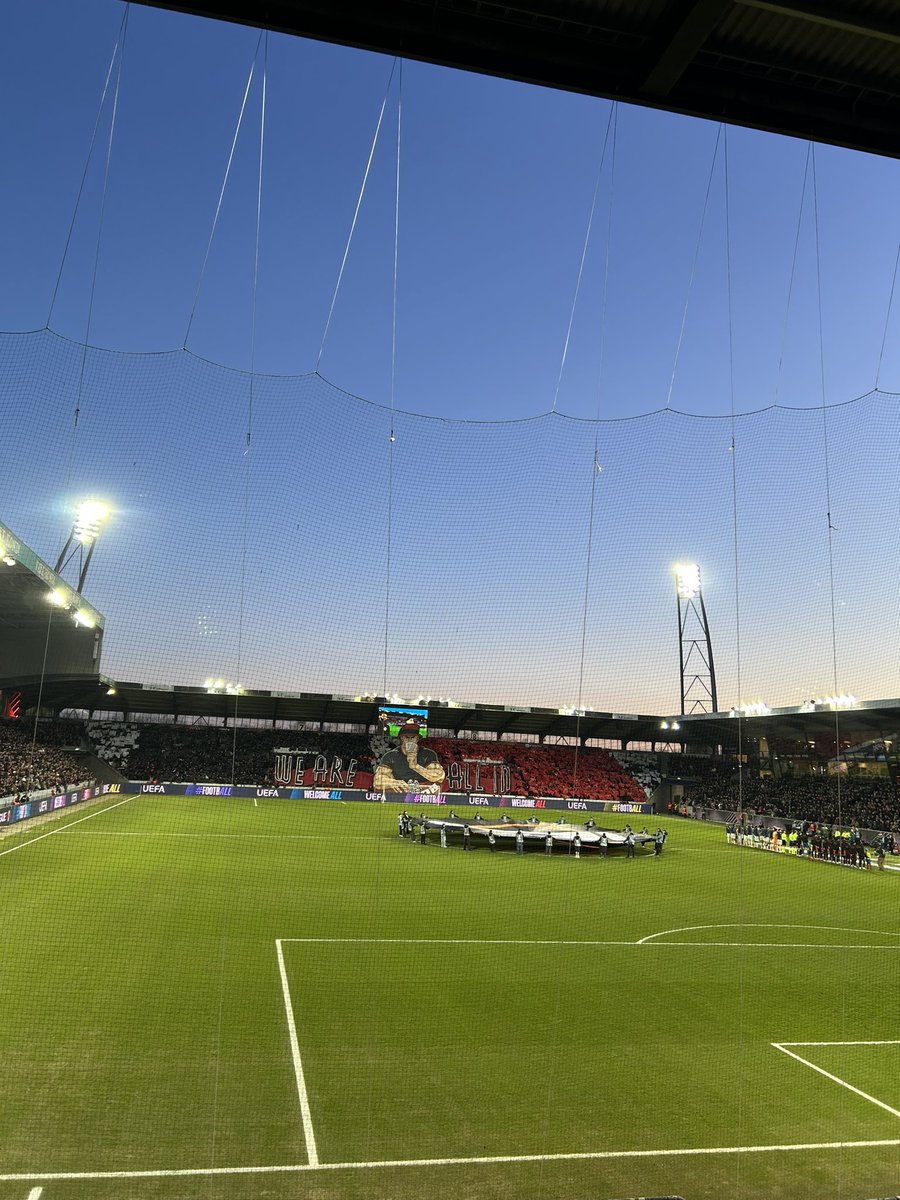 Harv 🌳 tweet media