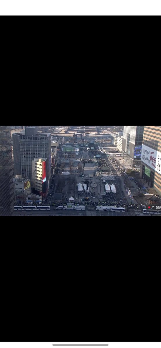 밤나들이 tweet media