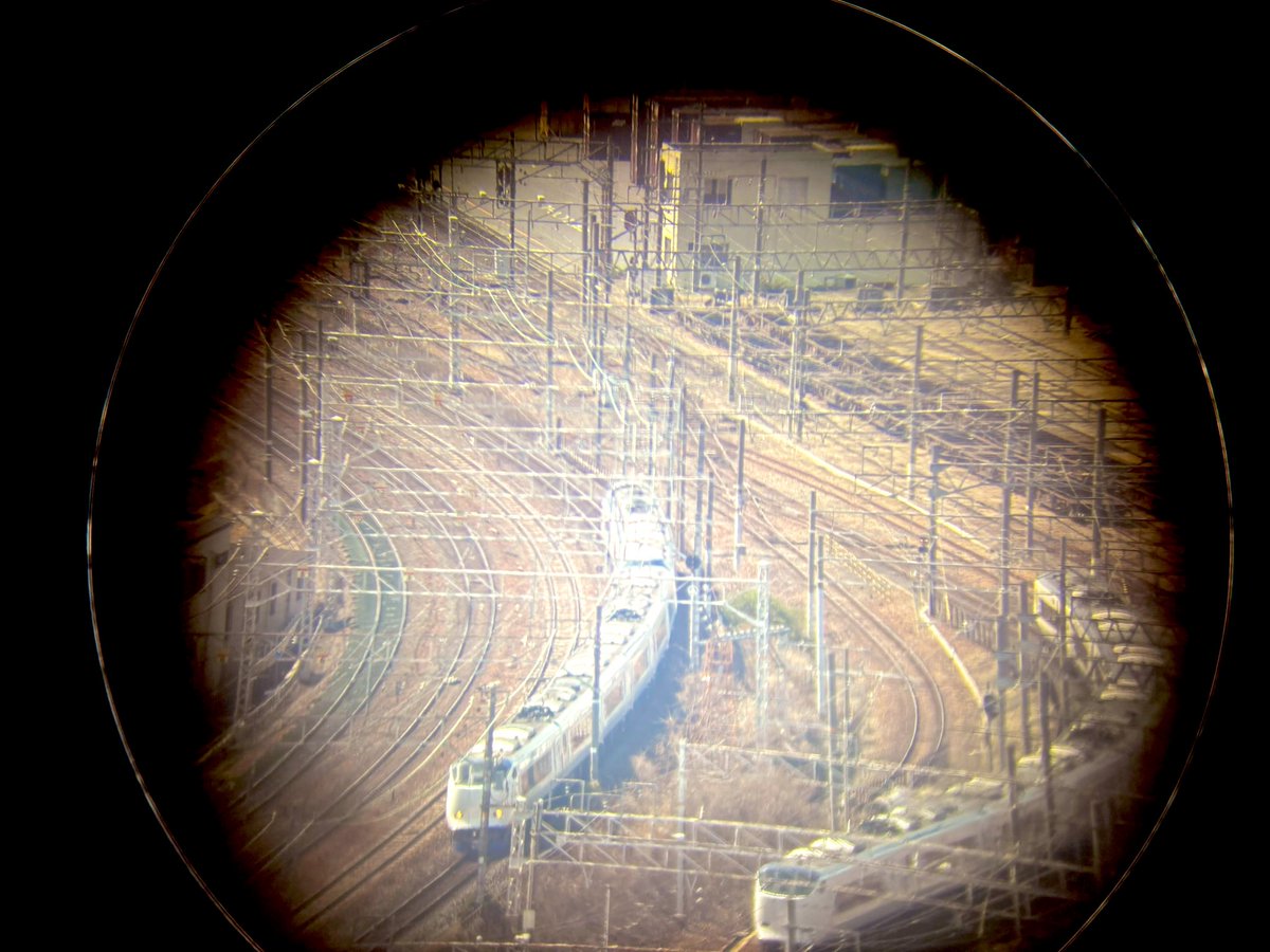 しろくろ tweet media