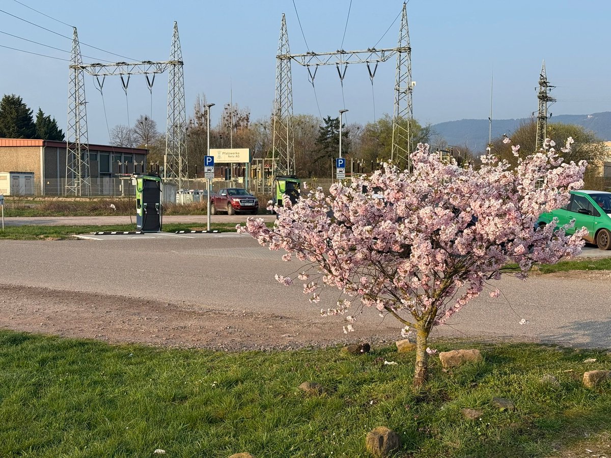 Andreas Memmer 🔋🔋🔋 tweet media