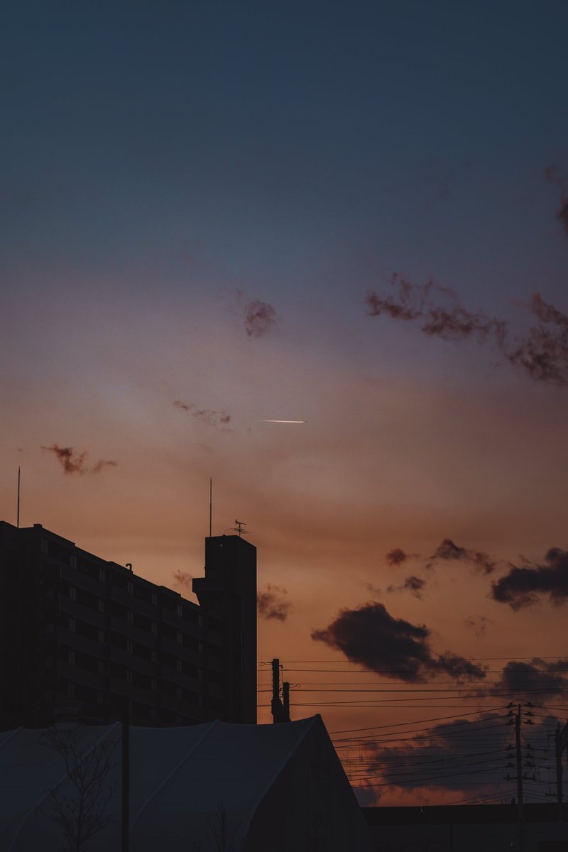 🕊 𓂃𓈒 𓂂𓏸 tweet media