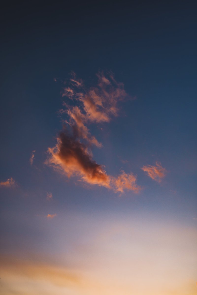 🕊 𓂃𓈒 𓂂𓏸 tweet media