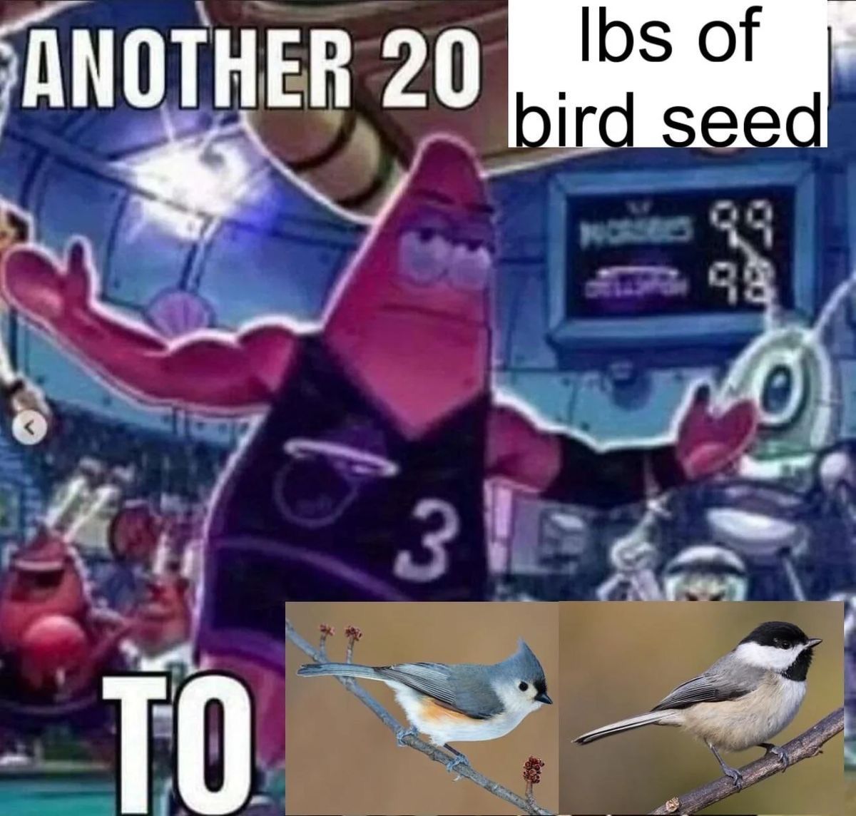 horse dentist tweet media