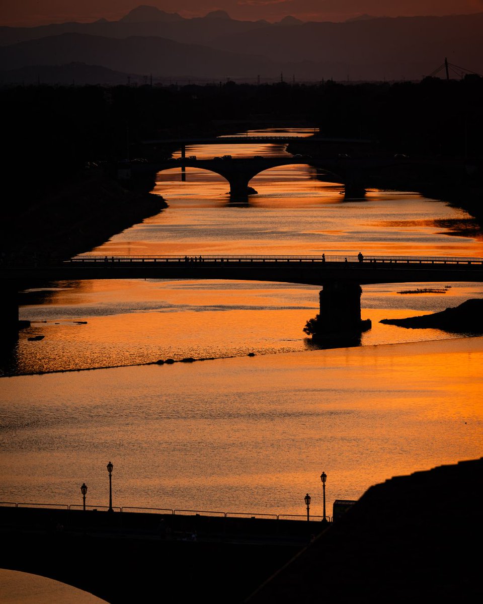 HIP Hotels tweet media