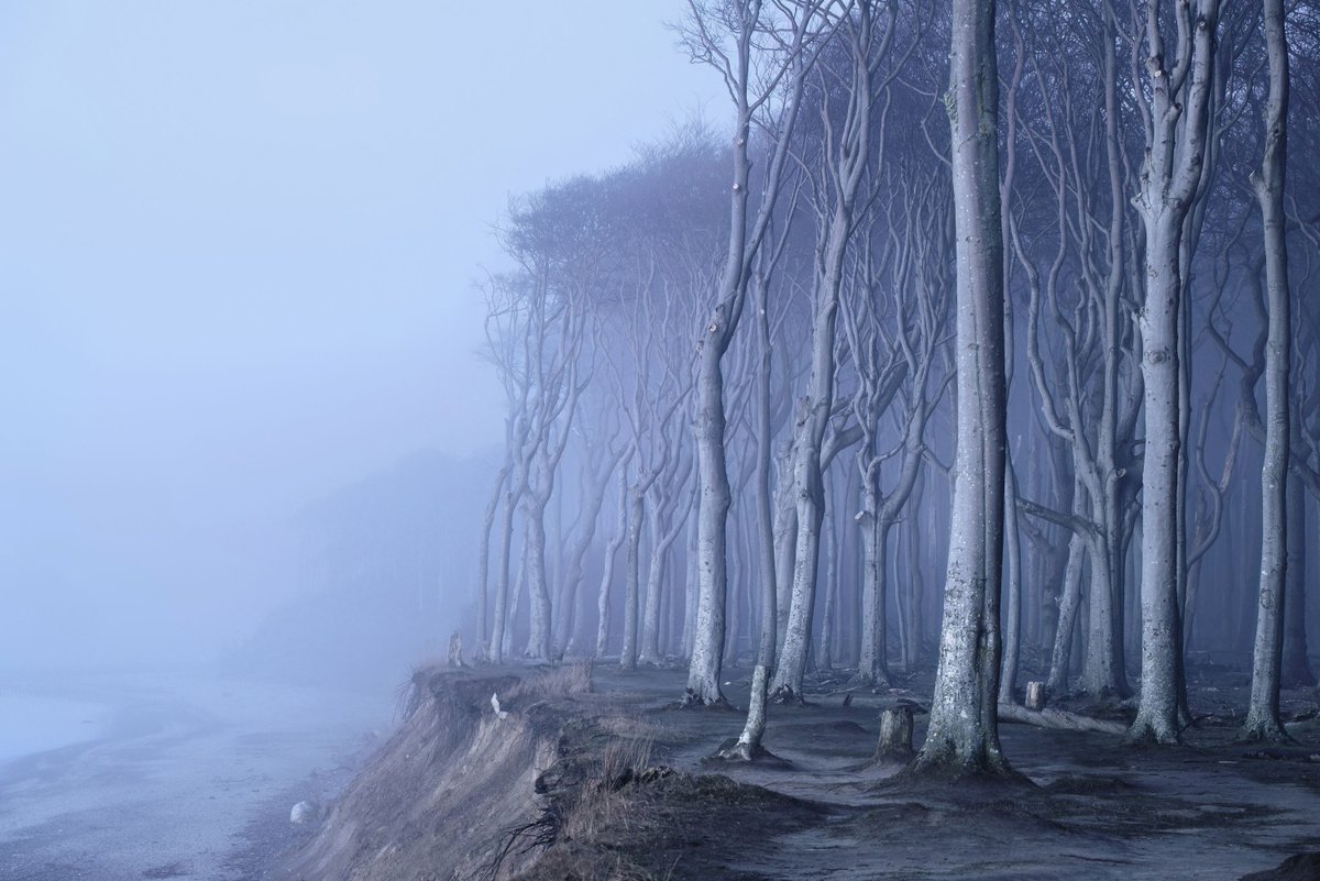 Gasometer Oberhausen tweet media