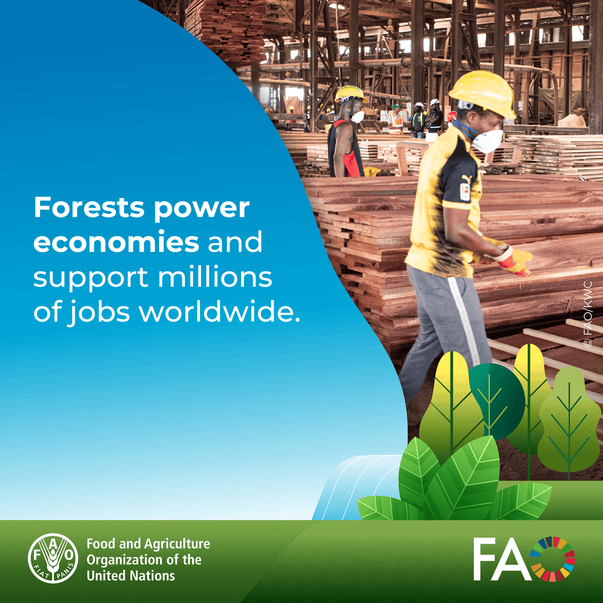 FAO Forestry tweet media