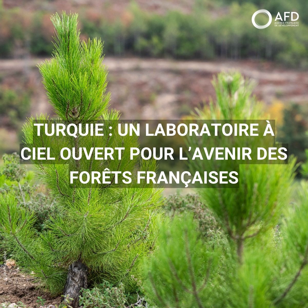 Agence Française de #Développement (AFD) 🇫🇷 🇪🇺 tweet media