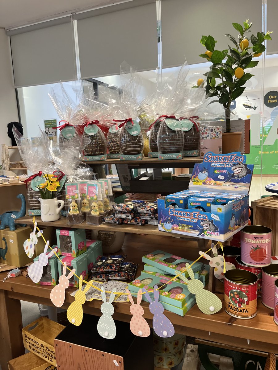 Great North Air Ambulance tweet media