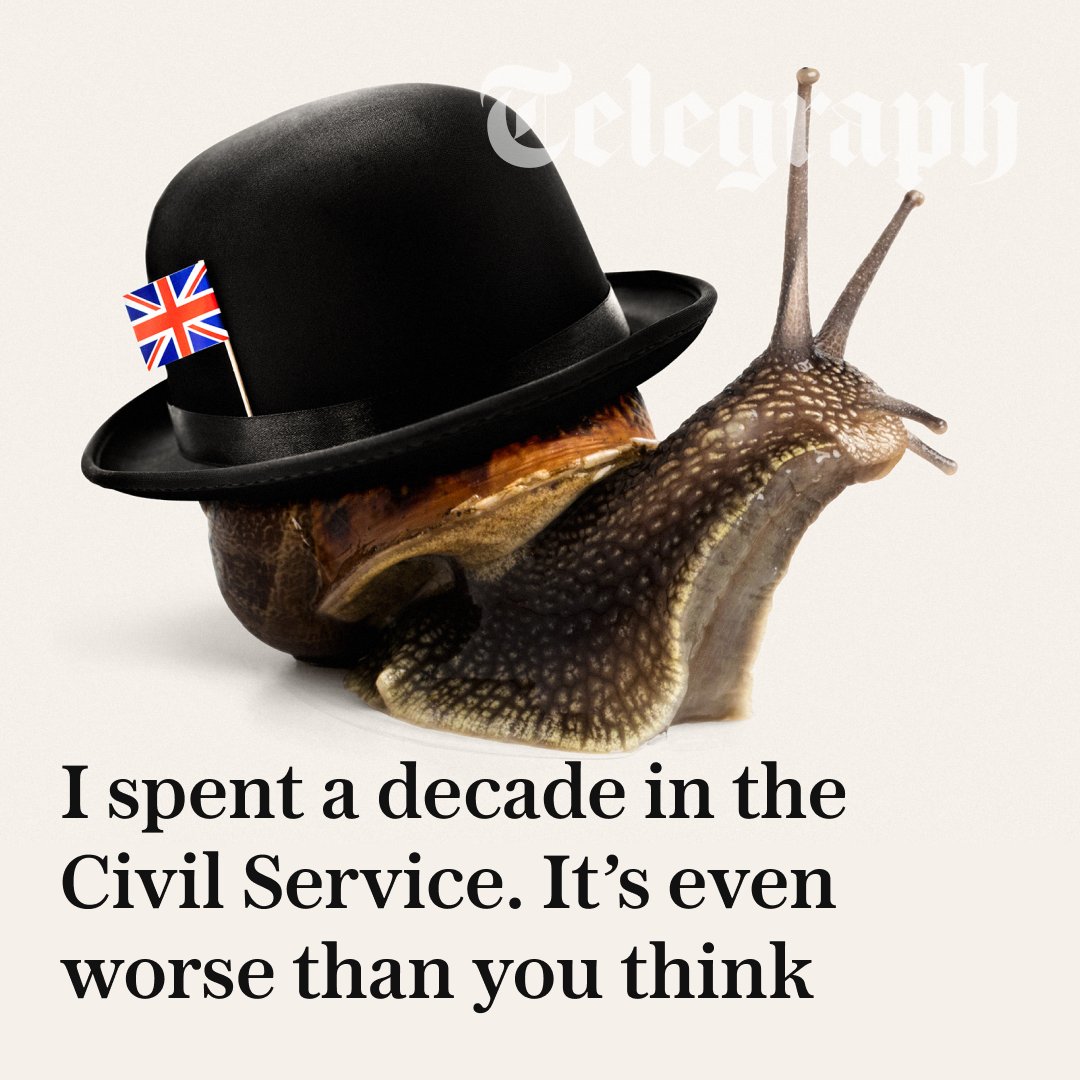 The Telegraph tweet media