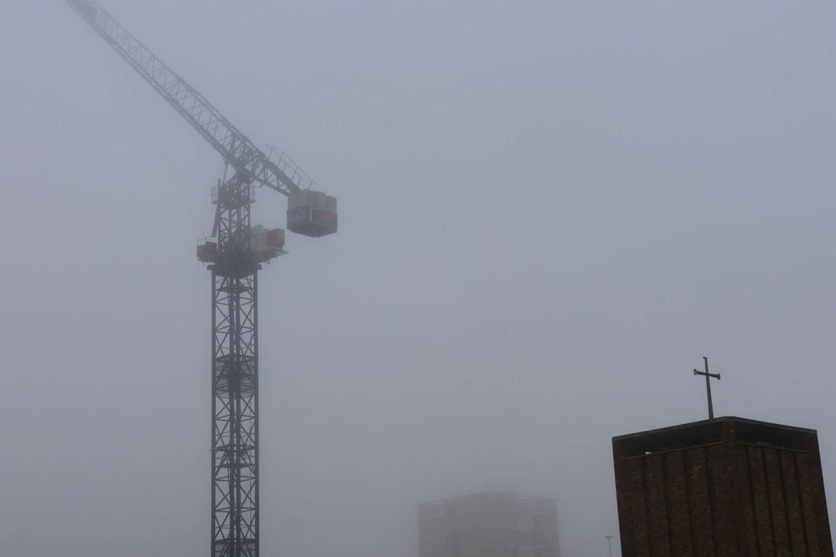 Jupiter_Hadley's tweet image. Foggy morning walk today! #photography #fog #noedits