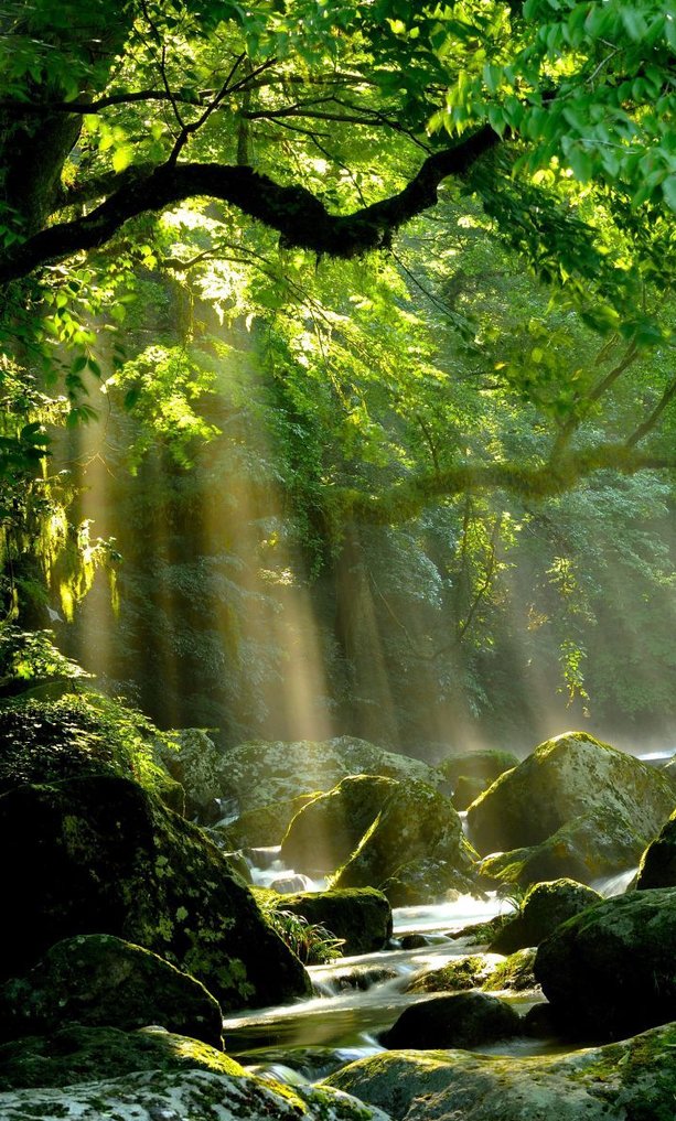 田村 月乃 tweet media