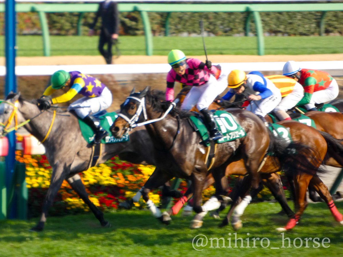 みひろ tweet media