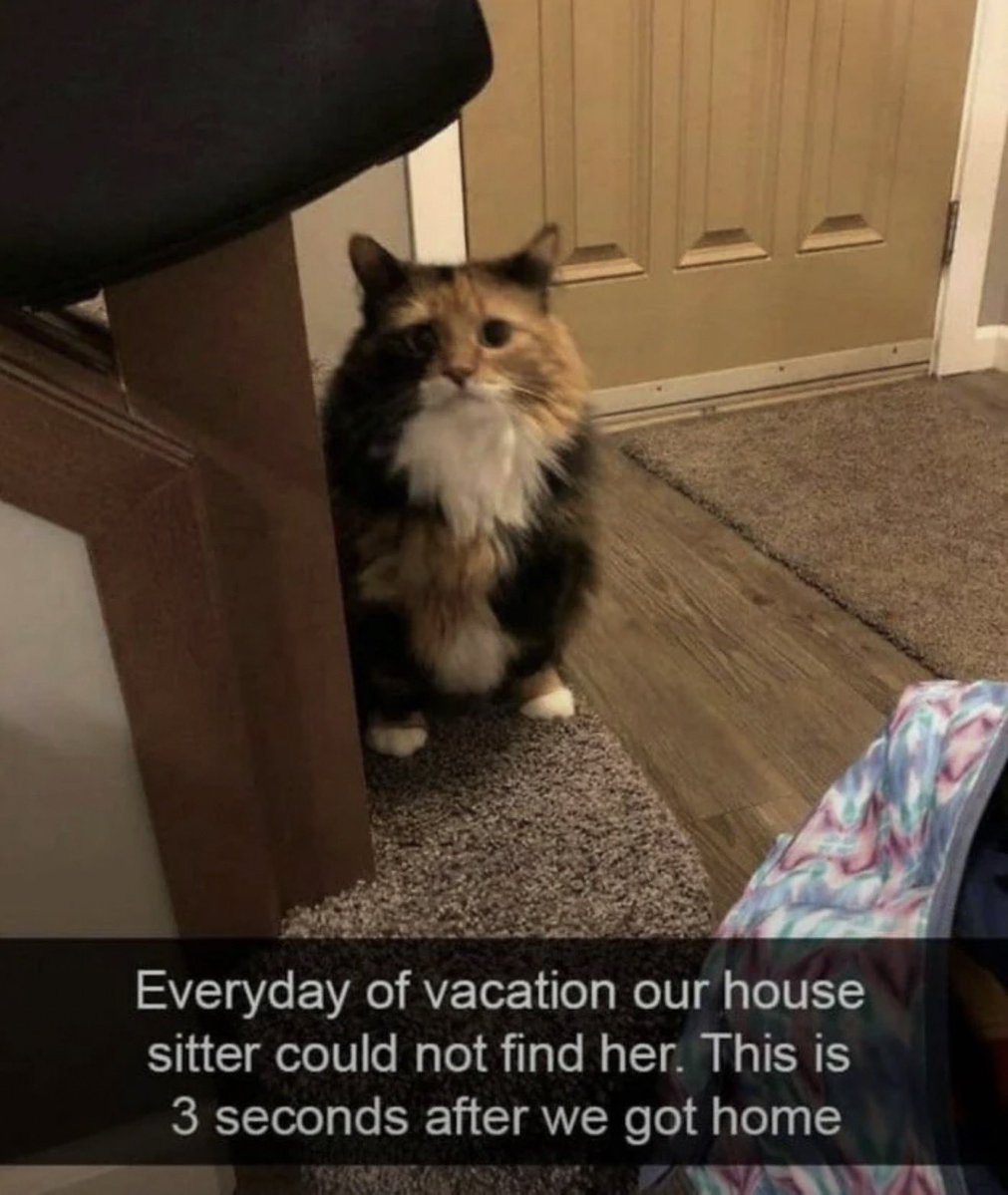 Antidepressant Content tweet media