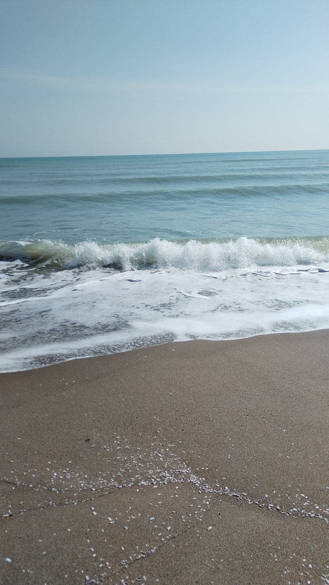 ghirigoro rogighiro  tweet media