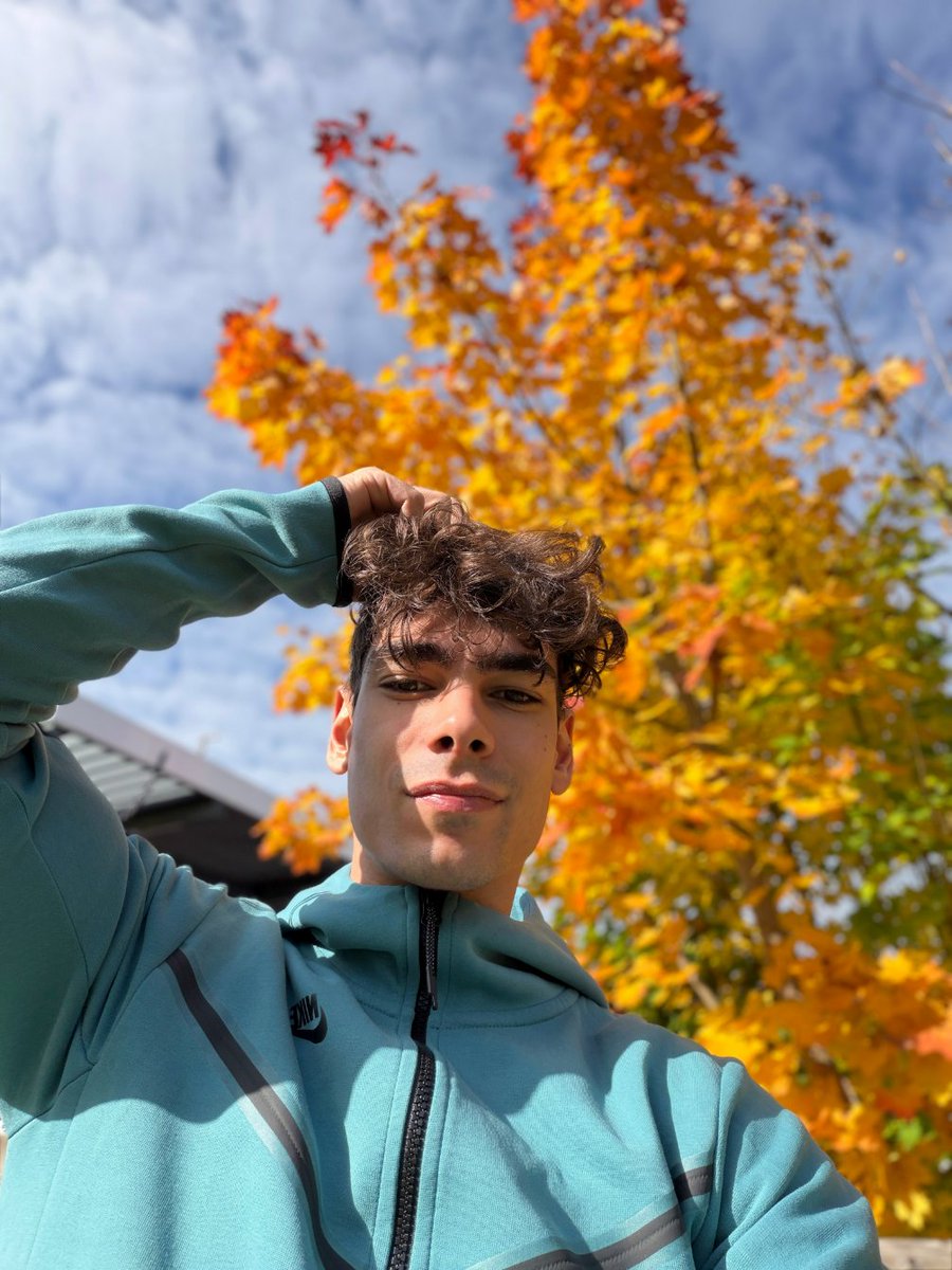 ripped adonis tweet media