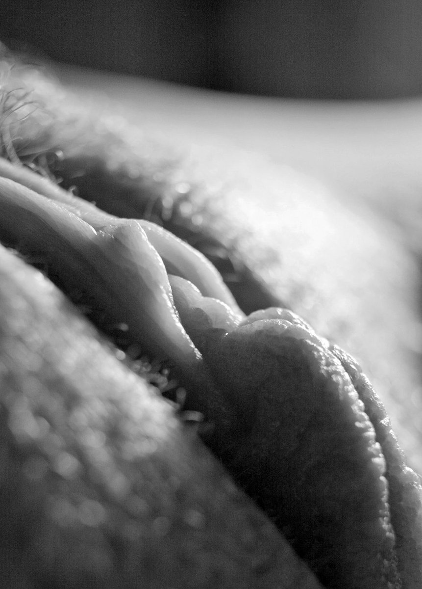 Beautiful Porn Art tweet media