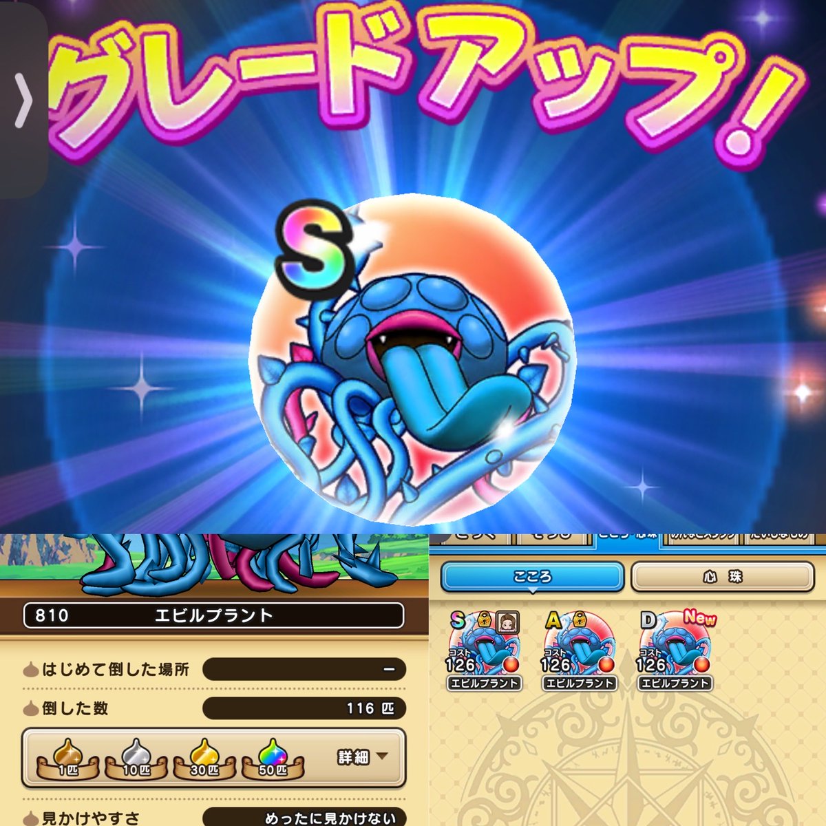 kujirappe tweet media