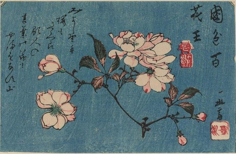 Katsushika Hokusai çiçekleri: