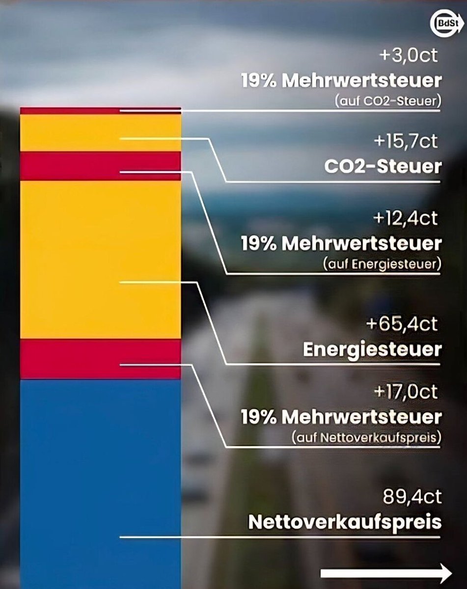 Petr Bystron tweet media