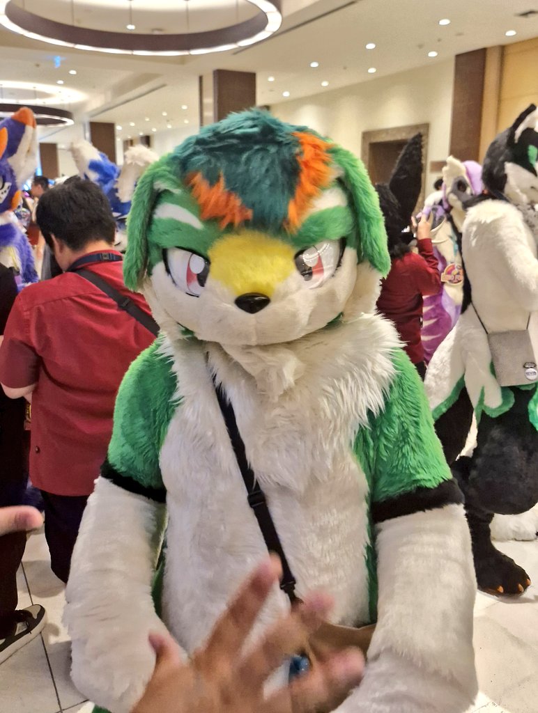 大根(Daikon) ➡️ tweet media