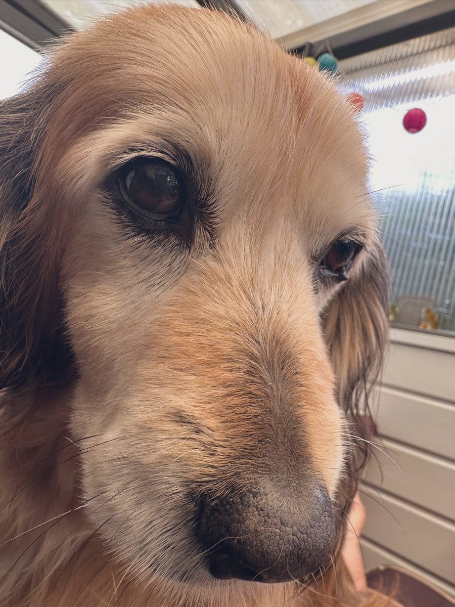 Dingenskirchen  tweet media