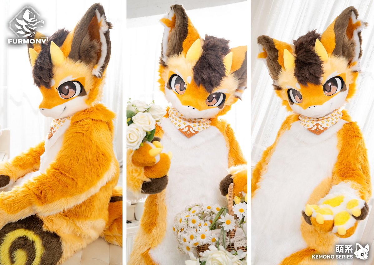 鸿萌造物/Furmony tweet media