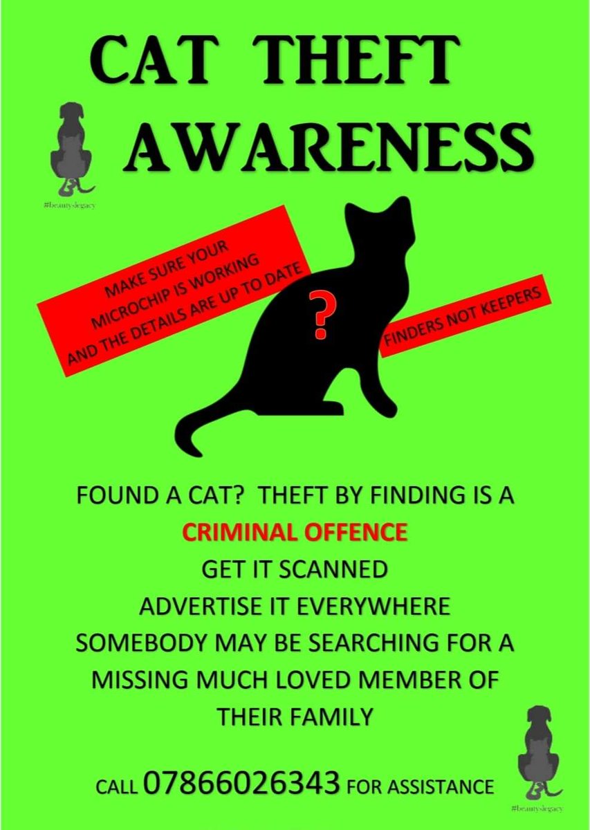 MissingPetsGB's tweet image. Today is #MissingCatsDay

There are maby  people who don't understand/k⁴now that when it comes to cats, *Finders Keepers* is a criminal act, punishable by fine or even prison time.

There are so many families missing their beloved cats💔👇