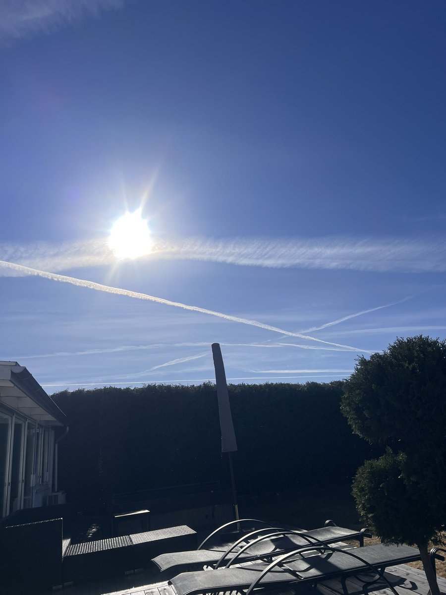 Holisticeric tweet media