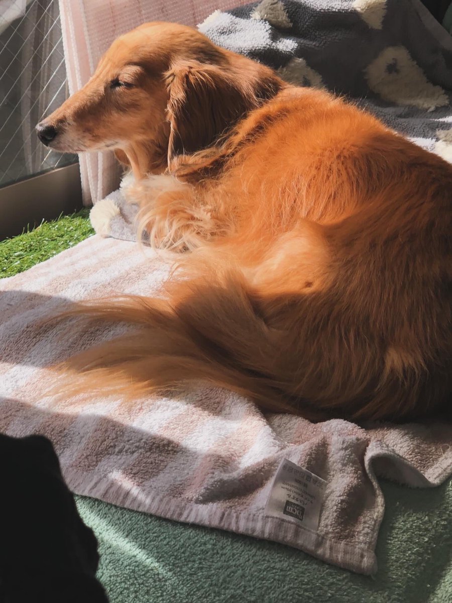 真希ナルセ(マキ) tweet media