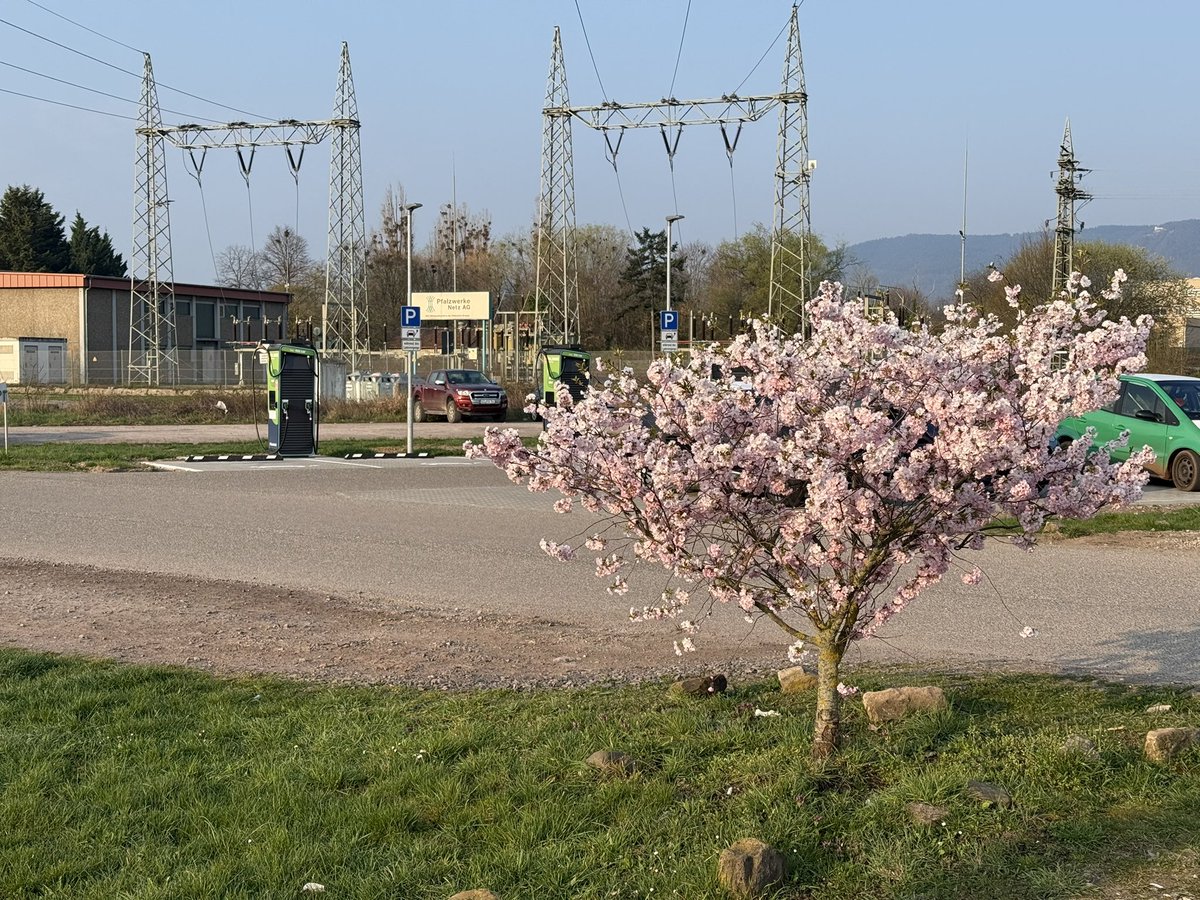 Jan Olbrecht tweet media