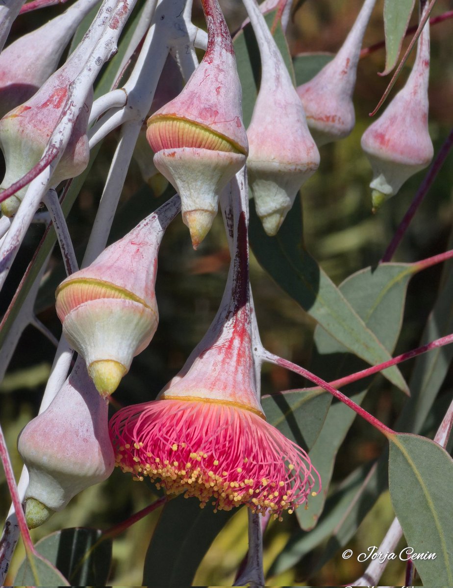 Into Nature Photography with Jorja tweet media