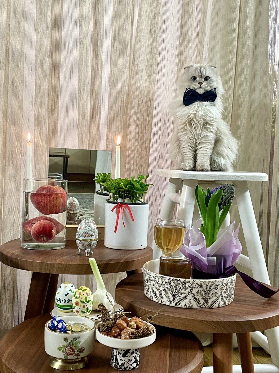 كيمولی tweet media