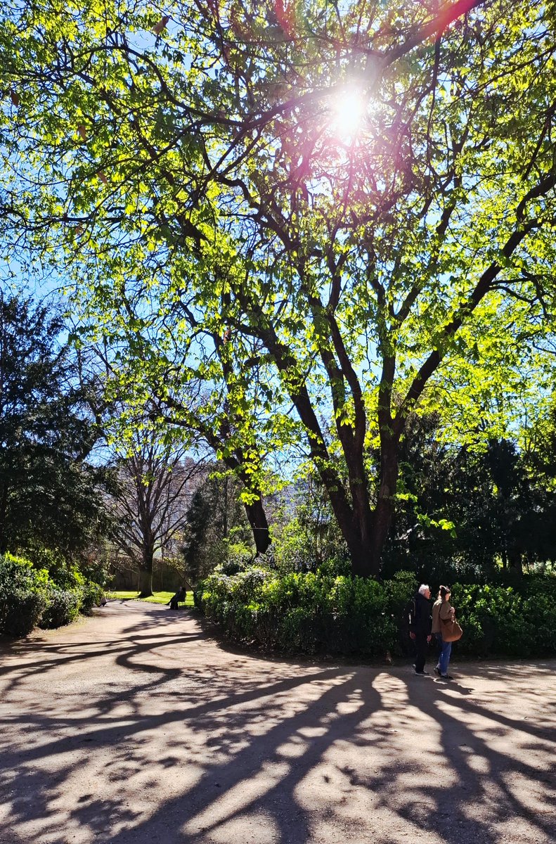 La page de Rita tweet media