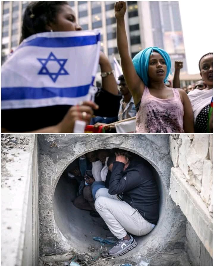 Nasib🇰🇼 tweet media