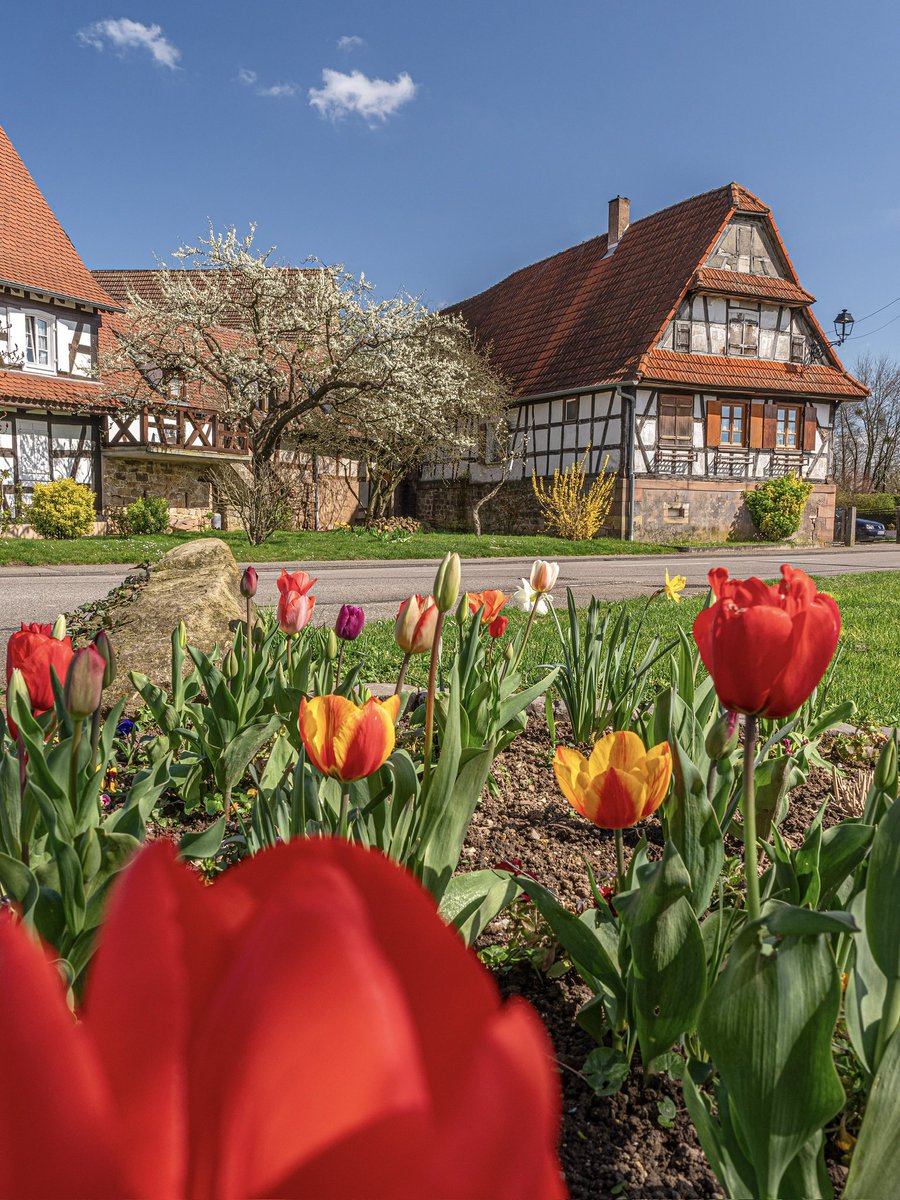 Cédrιc tweet media